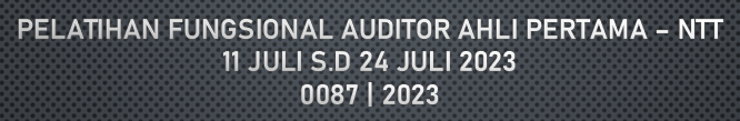 Fungsional Auditor Ahli Pertama di Lingkungan APIP NTT | 0087 | 2023