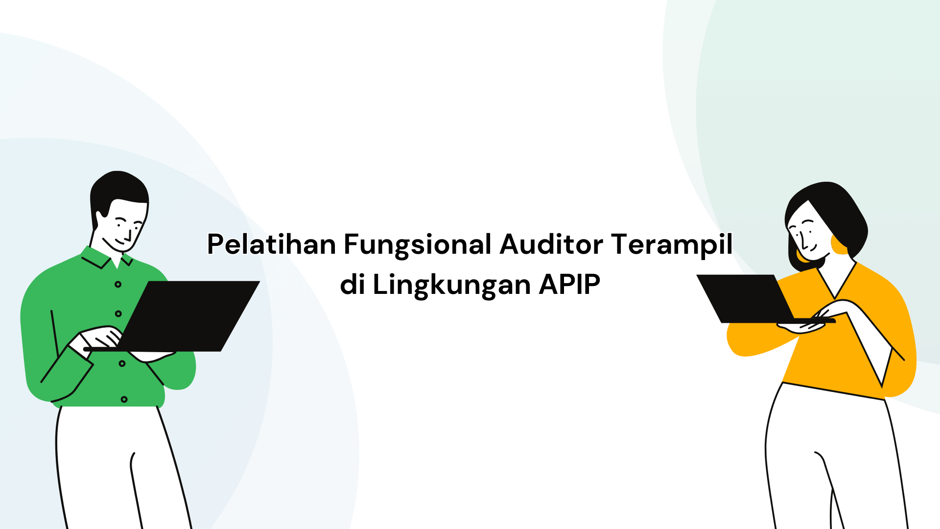 Fungsional Auditor Terampil APIP 0733